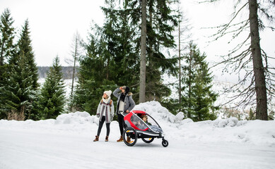 Father and mother with two small children in trailer in winter nature, walking in the snow.