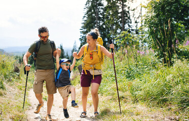 Family with small son hiking outdoors in summer nature.