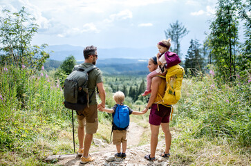 Rear view of family with small children hiking outdoors in summer nature, resting.