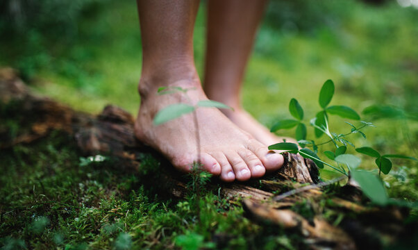 Bare feet of man standing barefoot outdoors in nature, grounding concept.