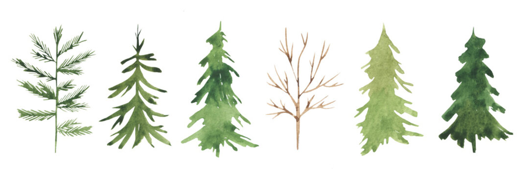 Seth drawings of watercolor trees. Fir trees, tree without leaves, winter style, new year and christmas.