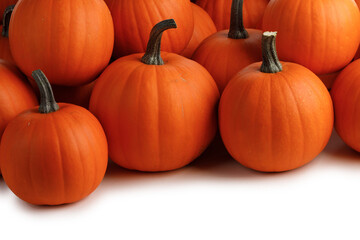 Heap of orange pumpkins