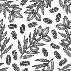 Hand drawn pecan branch and kernels seamless pattern. Organic food vector illustration on white background. Vintage nut illustration. Engraved style botanical picture.