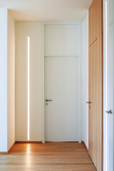 Corridor detail with door and led strip. Minimal apartment