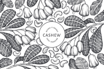 Naklejka na ściany i meble Hand drawn sketch cashew design template. Organic food vector illustration on white background. Vintage nut illustration. Engraved style botanical background.