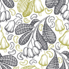 Hand drawn sketch Cashew seamless pattern. Organic food vector illustration on white background. Vintage nut illustration. Engraved style botanical background.