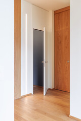 Corridor detail with door and led strip. Minimal apartment