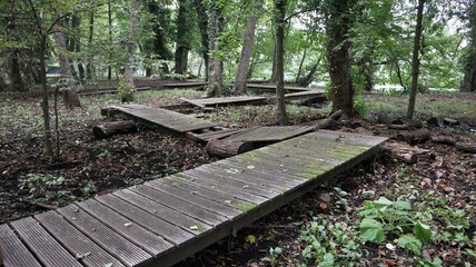 Monticchio - Percorso dissestato nella faggeta