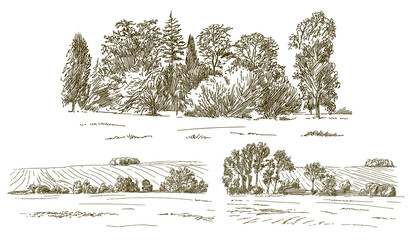 Rural landskape, forest and meadow. Hand drawn set. - 384978858