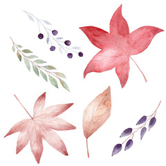 Watercolor collection of autumn leaves isolated on white background. Fall clipart.