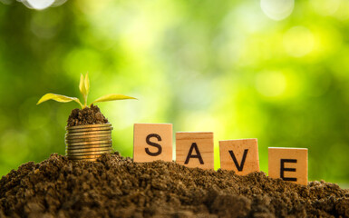 Money growing concept, Business success concept, Coins and plants are grown on a pile of coins for...