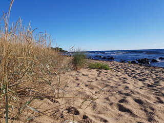 Beautiful Baltic Sea on Swedish Coast