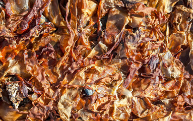 Selective focus. Texture of the seaweed on the shore.