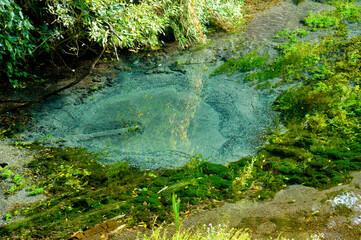 柿田川の湧き間
