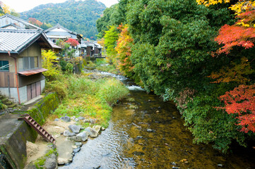 初瀬川の紅葉