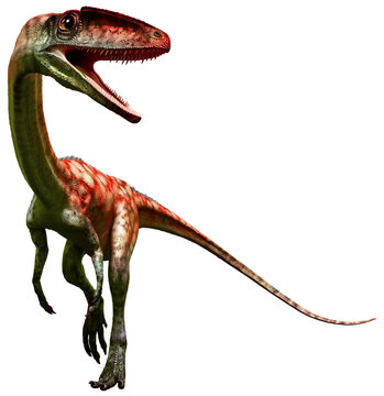 Coelophysis from the Triassic era 3D illustration