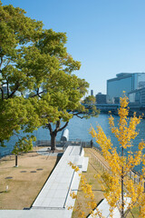 中之島剣先公園