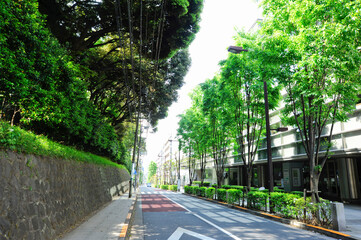目白駅周辺の道路