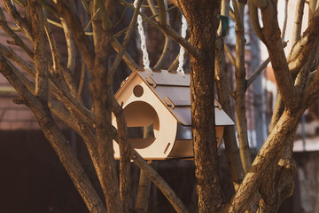 Bird feeder hanging on a tree. Sunny spring day.