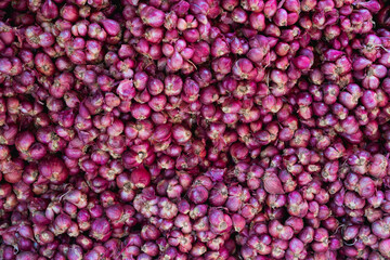 red onions on marker shelf background