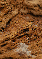 Different texture on the beach - water and sand, stones and pebbles, waves and splashes.