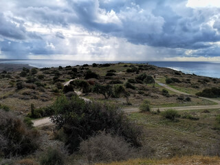 Kourion Outdoor Museum and the ruins of Ancient Greek buildings. The territory is full of olive trees and other evergreen trees and shrubs.