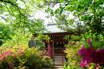 石神井公園の厳島神社