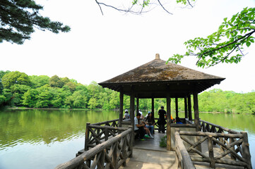 Naklejka premium 石神井公園／三宝寺池の東屋