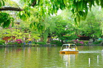 石神井公園の池