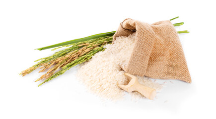 Fototapeta na wymiar Ears of rice an isolated on white background