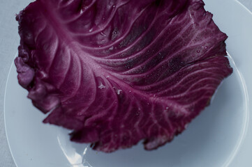 red cabbage leaf close up