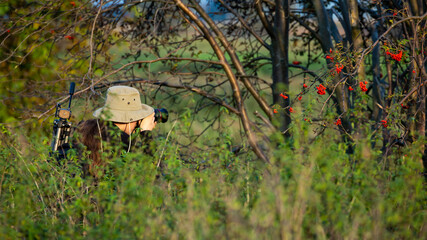 photographer taking pictures of wildlife