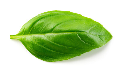 Obraz premium Basil isolated. Basil leaf on white. Basil leaf top view. Full depth of field.
