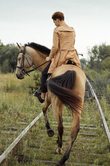 Young cow girl walking horse in green field. People and animal portrait. Horseback riding view. Active weekend. 
Beautiful young woman walking with brown horse on green field
