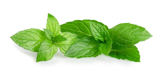 Green mint leaves isolated on a white background.