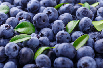Fresh blueberry background. Blueberry Texture Close Blueberry Antioxidant Organic Superpeed Bowl Concept Healthy Nutrition
