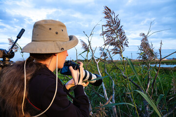photographer taking pictures of wildlife with a telephoto lens