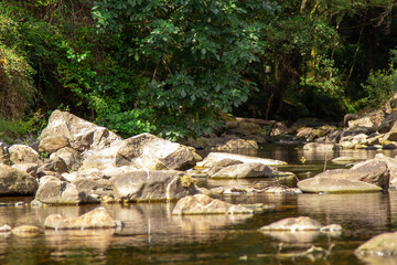 Fototapeta na wymiar natural river or stream landscape