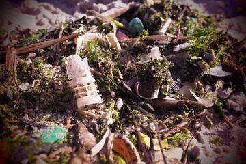 Angeschwemmter Plastimüll am Strand