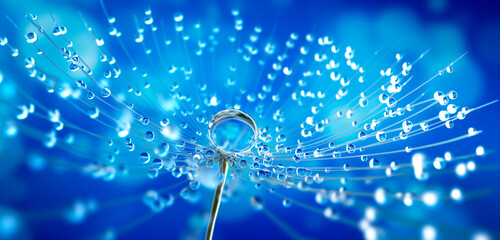  Pusteblume in Nahaufnahme mit Tautropfen Closeup