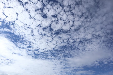 うろこ雲
