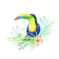 Fototapeta premium toucan, cute bird, watercolor in tropical leaves
