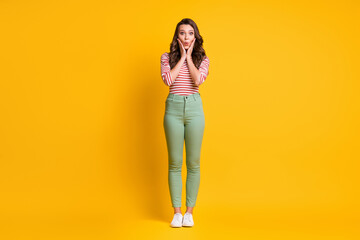 Fototapeta premium Full length body size photo of amazed surprised woman with long hair touching cheeks with hands isolated on bright yellow color background