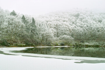霧氷