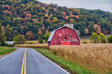 Fall foliage in Ohio during the month of October. 
