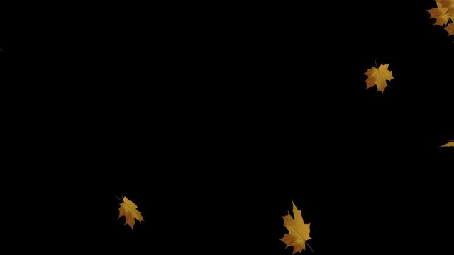 Abstract autumn Background. falling maple leaf and dry leaf 3D Alpha channel loop Animation. romantic, season, spinning, thanksgiving, winter, season, nature, green, wedding, valentines day.