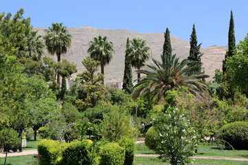 Fototapeta na wymiar Eram Garten in Shiraz