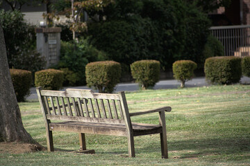公園のひなびた一つの木製のベンチ
