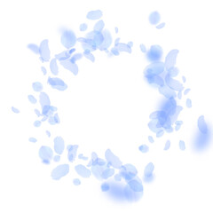 Dark blue flower petals falling down. Eminent roma