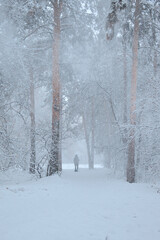 Lonely male figure in a Park in a snowstorm